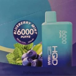 HQD HBAR 6000 PUFFS Blueberry Mint H4F6D51 HQD Vape Australia